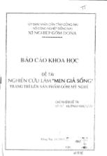Nghiên cứu làm ''Men giả sống'' trang trí lên sản phẩm gốm mỹ nghệ