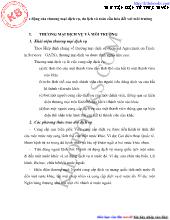 Tác động của thương mại dịch vụ, du lịch và toàn cầu hóa đồi với môi trường