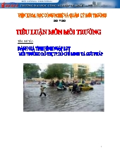 Đánh giá tình hình ngập lụt môi trường đô thị tp Hồ Chí Minh và giải pháp
