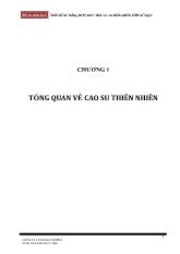 Thiết kế hệ thống xử lý nước thải cao su thiên nhiên 1200 m3/ngày