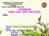 Thực trạng môi trường ở Việt Nam và biện pháp khắc phục