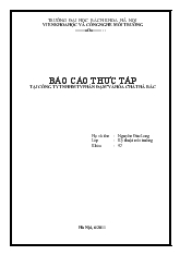 Đề tài Thực tập tại công ty TNHH MTV phân đạm và hóa chất Hà Bắc