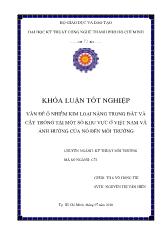 Vấn đề ô nhiễm kim loại nặng trong đất và cây trồng tại một số khu vực ở Việt Nam và ảnh hưởng của nó đến môi trường