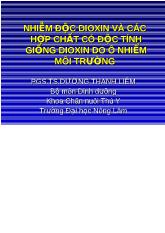 Nhiễm độc đioxin và các hợp chất có độc giống đioxin do ô nhiễm môi trường