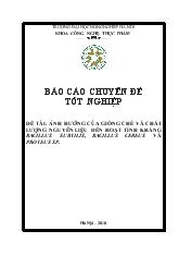 Ảnh hưởng của giống chè và chất lượng nguyên liệu đến hoạt tính kháng bacillus subtilis, bacillus cereus và proteus sp