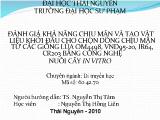 Đánh giá khả năng chịu mặn và tạo nguồn vật liệu khởi đầu cho chọn dòng chịu mặn từ các giống lúa OM4498, VND95-20, IR64, CR203 bằng công nghệ nuôi cấy in vitro