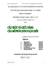 Đề tài Sinh lý thực vật cấu trúc và chức năng mô phân sinh ngọn chồi