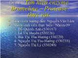 Enzyme Bromeline - Protease thực vật