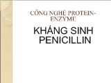 Enzyme penicilin