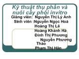 Kỹ thuật thụ phấn và nuôi cấy phôi invitro