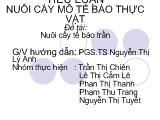 Muôi cấy mô, tế bào thực vật, nuôi cấy tế bào trần
