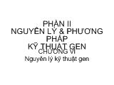 Nguyên lý kỹ thuật gen