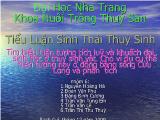 Tìm hiểu hiện tượng tích luỹ và khuếch đại sinh học ở thuỷ sinh vật. Cho ví dụ cụ thể hiện tượng này ở đồng bằng sông Cửu Long và phân tích