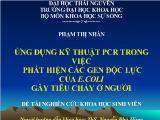 Ứng dụng kỹ thuật PCR trong việc phát hiện các gen độc lực của E.coli gây tiêu chảy ở người