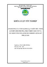 Ảnh hưởng của nấm Glomus sp và bốn mức phân lân đến sinh trưởng, phát triển của bắp C919 và xác định nấm cộng sinh bằng kỹ thuật PCR