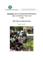 Báo cáo Quản lý bệnh phytophthora hại cây trồng ở Việt Nam