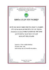 Bước đầu hoàn thiện phương pháp và nghiên cứu sự đa dạng di truyền cây cóc trắng tại khu dự trữ sinh quyển rừng ngập mặn cần giờ bằng kỹ thuật rapd