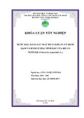 Bước đầu khảo sát mật độ vi khuẩn cố định đạm và hàm lượng tinh dầu của rễ cỏ Vetiver (Vetiverria zizanioides L.)