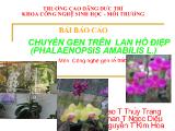 Chuyển gen trên cây lan hồ điệp