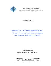 Đề tài Khảo sát sự thủy phân protein từ đậu nành dưới tác dụng enzyme protease của nấm mốc aspergillus oryzae