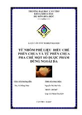 Đề tài Từ nhôm phế liệu điều chế phèn chua và từ phèn chua pha chế một số dược phẩm dùng ngoài da