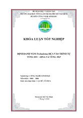 Định danh nấm trichoderma dựa vào trình tự vùng its – rdna và vùng tef