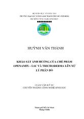 Khảo sát ảnh hưởng của chế phẩm Openamix – LSC và Trichoderma lên xử lý phân bò