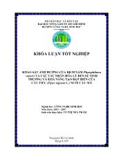 Khảo sát ảnh hưởng của dịch nấm (Phytophthora capsici ) và các tác nhân hóa lý dến sự sinh trưởng và khả năng tạo đột biến của cây tiêu (Piper nigrum L.) nuôi cấy mô