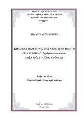 Khảo sát đậm độ và khả năng sinh độc tố của vi khuẩn S. aureus trên môi trường nuôi cấy