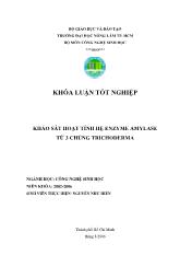 Khảo sát hoạt tính hệ enzyme amylase từ 3 chủng nấm Trichoderma sp