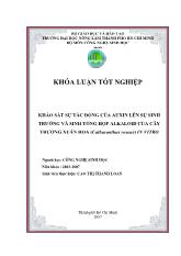 Khảo sát sự tác động của IAA, NAA lên sự sinh trưởng và sinh tổng hợp alkaloid của cây Trường xuân hoa (Catharanthus roseus) in vitro