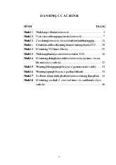 Khảo sát thành phần loài phụ và thành phần kiểu huyết thanh của các chủng salmonella nhiễm trong thực phẩm