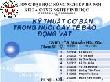 Một số kỹ thuật cơ bản trong nuôi cấy tế bào động vật