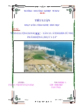 Năng lượng sinh học - Sản xuất difezen từ phụ phẩm động, thực vật