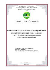 Nghiên cứu đa dạng di truyền và xác định marker liên kết tính kháng bệnh héo đỏ đầu lá trên cây dứa Cayenne (Ananas comosus) bằng phương pháp RAPD