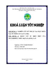 Nghiên cứu kỹ thuật tạo hạt nhân tạo từ phôi cây lan vanda và bước đầu khảo sát sự hiện diện của mycorrhiza trên một số giống lan