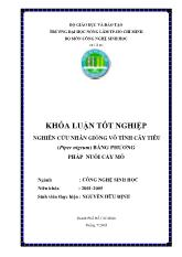 Nghiên cứu nhân giống vô tính cây tiêu (Piper nigrum) bằng phương pháp nuôi cấy mô