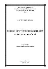 Nghiên cứu thử nghiệm chế biến rượu vang Sabôchê