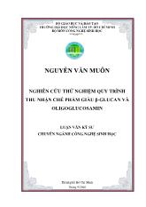 Nghiên cứu thử nghiệm quy trình thu nhận chế phẩm giàu β - Glucan va oligoglucosamin