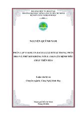 Phân lập vi khuẩn bacillus subtilis trong phân heo và thử đối kháng với E. Coli gây bệnh tiêu chảy trên heo