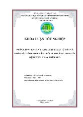 Phân lập vi khuẩn bacillus subtilis từ đất và khảo sát tính đối kháng với vi khuẩn e. Coli gây bệnh tiêu chảy trên heo
