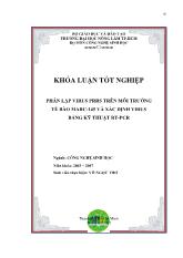 Phân lập virus PRRS trên môi trường tế bào MARC - 145 và xác định virus bằng kỹ thuật RT - PCR