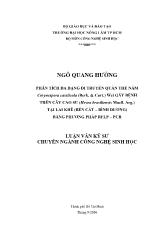 Phân tích đa dạng di truyền quần thể nấm corynespora cassiicola wei gây bệnh trên cây cao su (hevea brasiliensis muell. arg.) tại Lai Khê (Bến Cát – Bình Dương) bằng phương pháp rflp