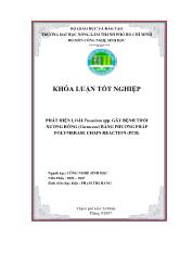 Phát hiện nấm Fusarium spp. gây bệnh thối xương rồng (Cactaceae) bằng kỹ thuật PCR (polymerase chain reaction)