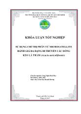 Sử dụng chỉ thị phân tử Microsatellite đánh giá đa dạng di truyền các dòng keo lá tràm (Acacia auriculiformis)
