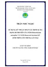 Sử dụng kỹ thuật rflp xác định sự đa dạng di truyền của hai dòng nấm metarrhizium anisopliae và beauveria bassiana