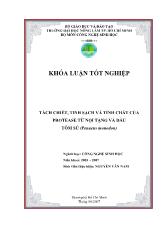 Tách chiết, tinh sạch và tính chất của protease từ nội tạng và đầu tôm sú