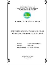 Thử nghiệm khả năng ứng dụng Enzyme protease từ nội tạng tôm trong sản xuất Chitin