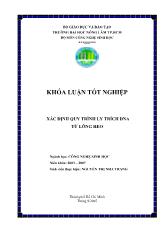 Xác định quy trình ly trích dna từ lông heo
