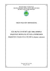 Xây dựng cơ sở dữ liệu ssrs (simple sequence repeats) từ ests (expressed sequence tags) của cây dứa